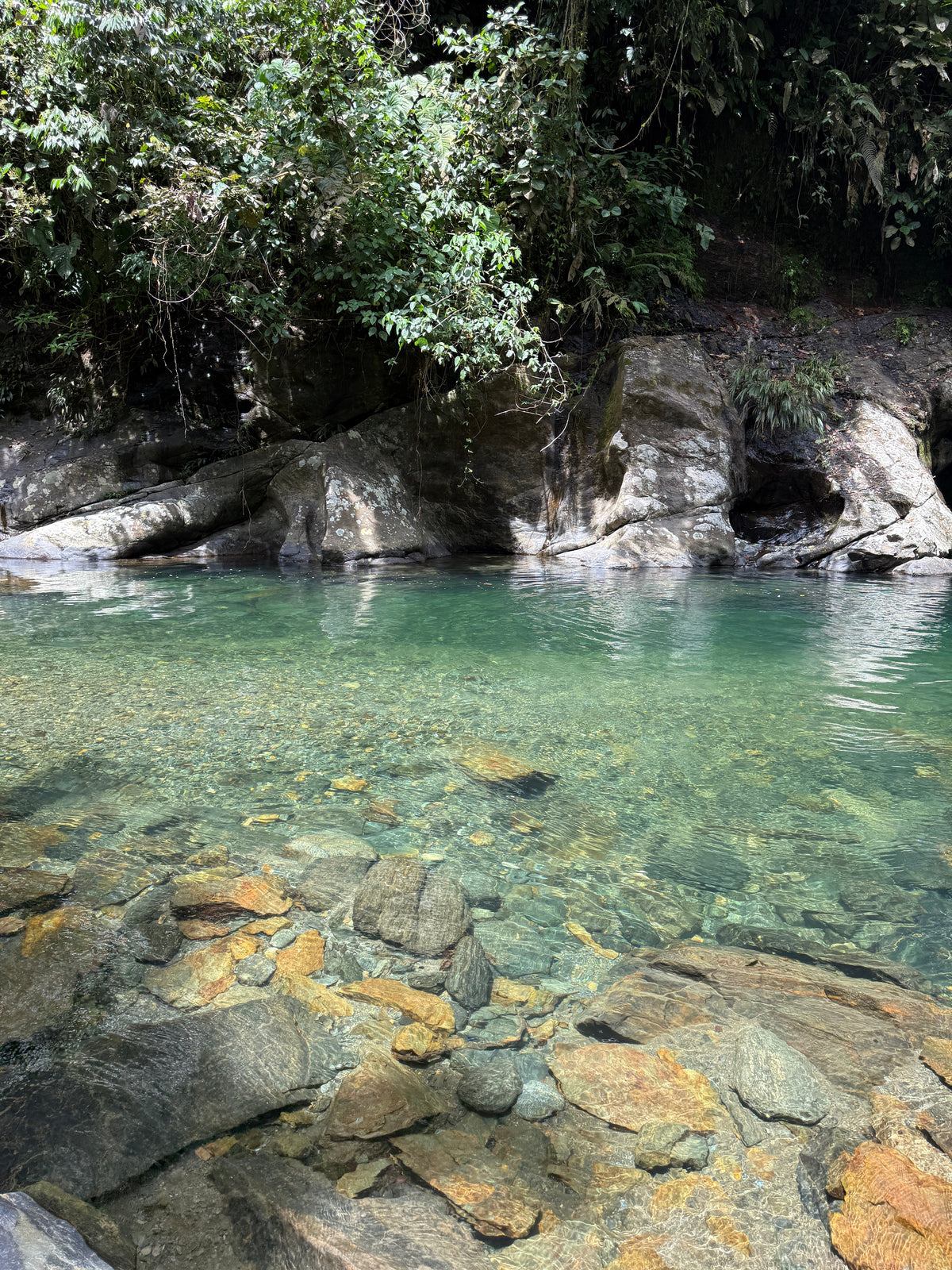 Caminatas en la naturaleza cerca de Medellín: rutas y la ciencia detrás del bienestar