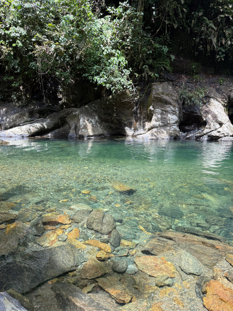 Caminatas en la naturaleza cerca de Medellín: rutas y la ciencia detrás del bienestar