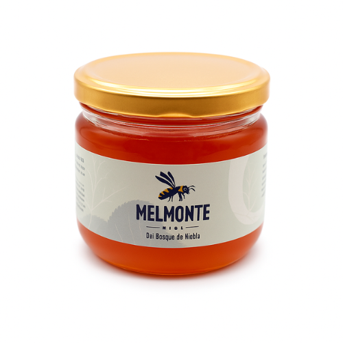 Miel 100% Natural -Melmonte