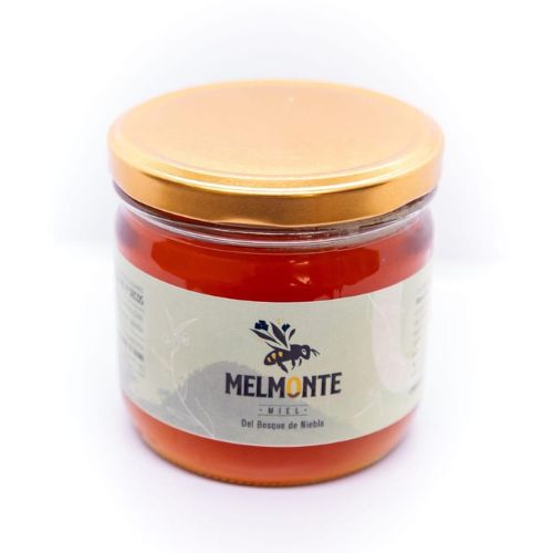 Miel 100% Natural -Melmonte